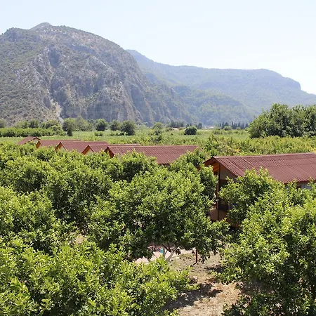 Lemon Camping Bungolows Κάμπινγκ