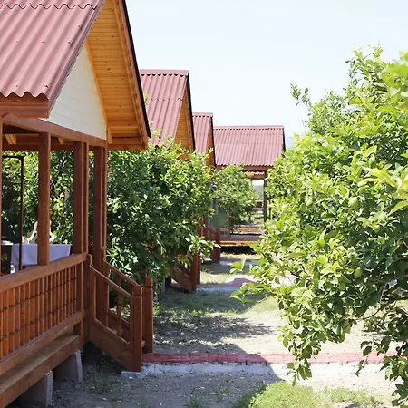 Lemon Camping Bungolows Camping *