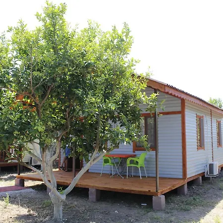 Lemon Camping Bungolows Camping *