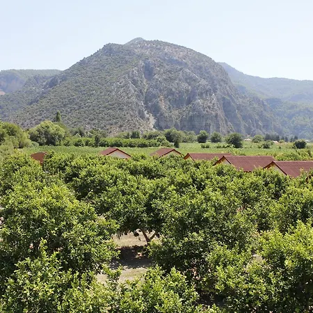 Lemon Camping Bungolows Κάμπινγκ