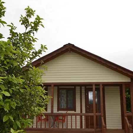 Lemon Camping Bungolows Camping