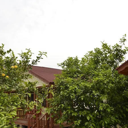 Κάμπινγκ Lemon Camping Bungolows Dalyan