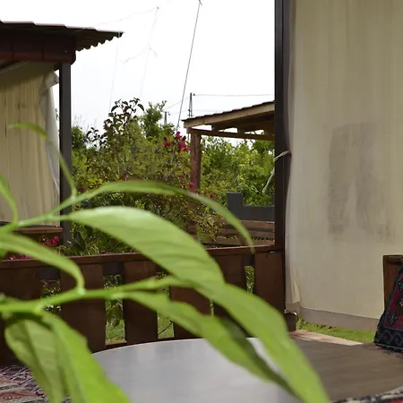 Camping Lemon Camping Bungolows Dalyan