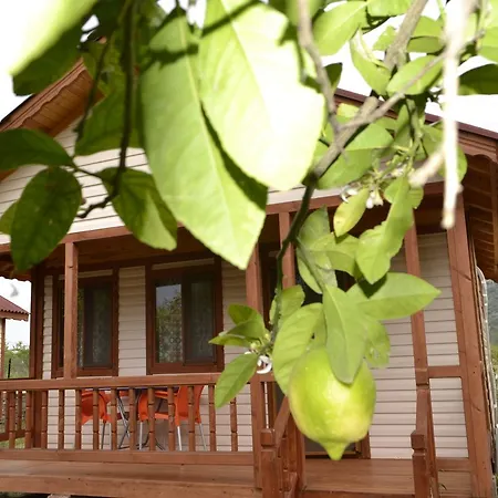 Κάμπινγκ Lemon Camping Bungolows Dalyan