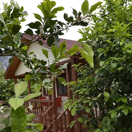 Lemon Camping Bungolows * Dalyan