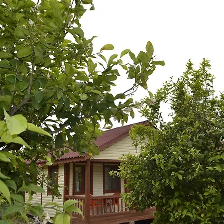 Lemon Camping Bungolows Κάμπινγκ Dalyan