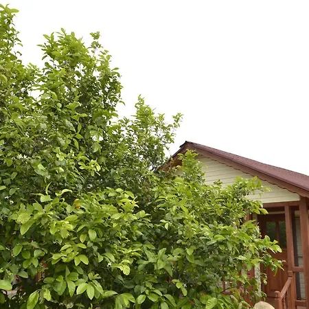 Lemon Camping Bungolows Dalyan