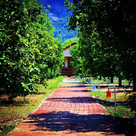 Κάμπινγκ Lemon Camping Bungolows Dalyan