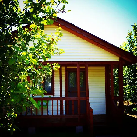 Κάμπινγκ Lemon Camping Bungolows Dalyan