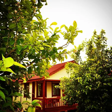 Lemon Camping Bungolows Camping Dalyan
