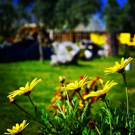 Camping Lemon Camping Bungolows Dalyan