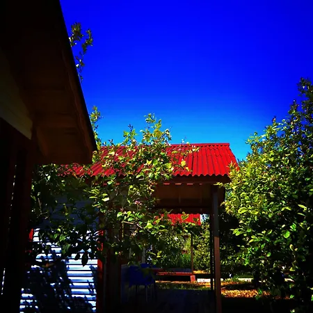 Camping Lemon Camping Bungolows Dalyan