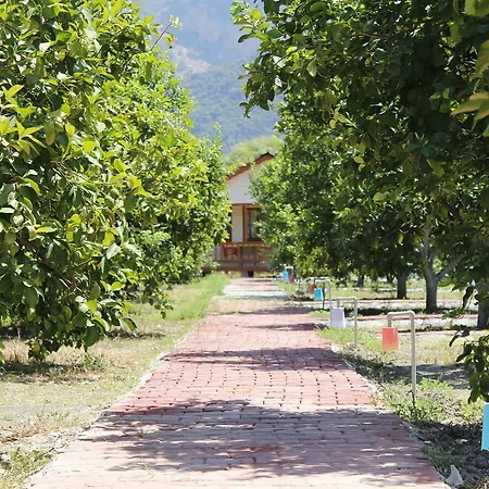Parque de Campismo Lemon Camping Bungolows