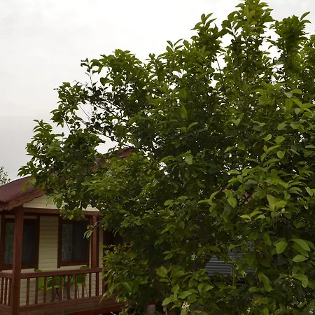 Parque de Campismo Lemon Camping Bungolows Dalyan