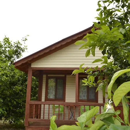 Parque de Campismo Lemon Camping Bungolows *