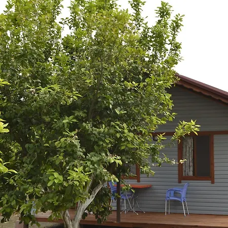 Lemon Camping Bungolows Parque de Campismo Dalyan