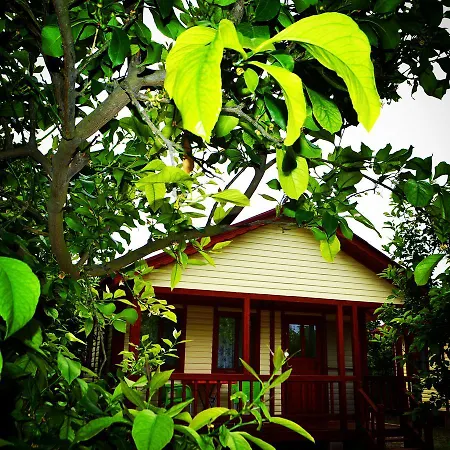 Lemon Camping Bungolows Parque de Campismo *